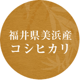 福井県美浜産　コシヒカリ